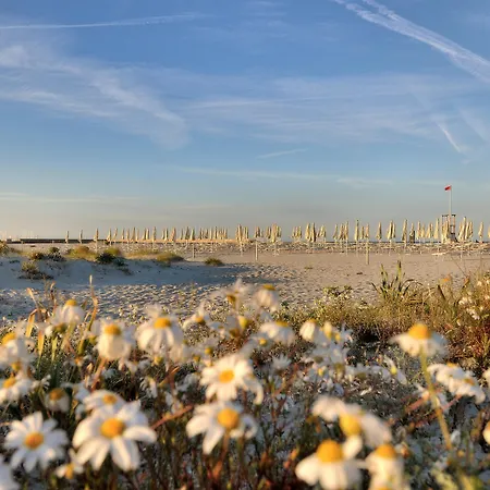 منتجع Cala Della Torre