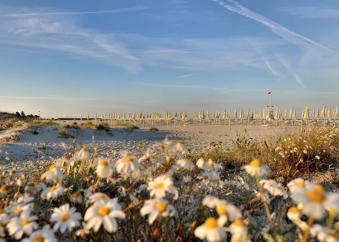Station touristique Cala Della Torre